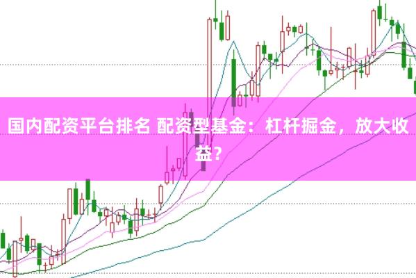 国内配资平台排名 配资型基金：杠杆掘金，放大收益？