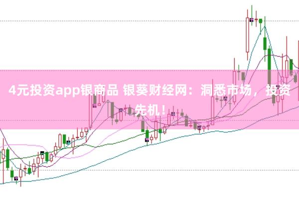 4元投资app银商品 银葵财经网：洞悉市场，投资先机！