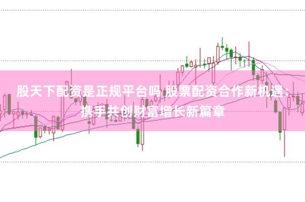 股天下配资是正规平台吗 股票配资合作新机遇：携手共创财富增长新篇章