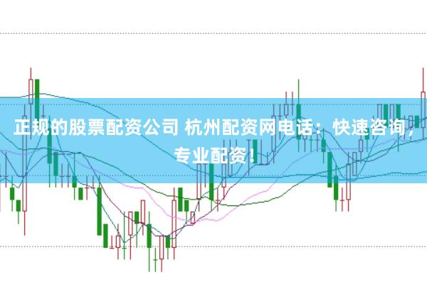 正规的股票配资公司 杭州配资网电话：快速咨询，专业配资！