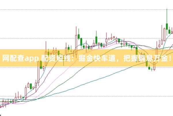 网配查app 配资短线：掘金快车道，把握瞬息万金！