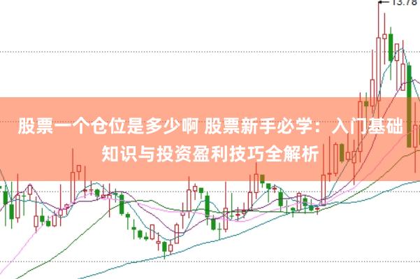 股票一个仓位是多少啊 股票新手必学：入门基础知识与投资盈利技巧全解析