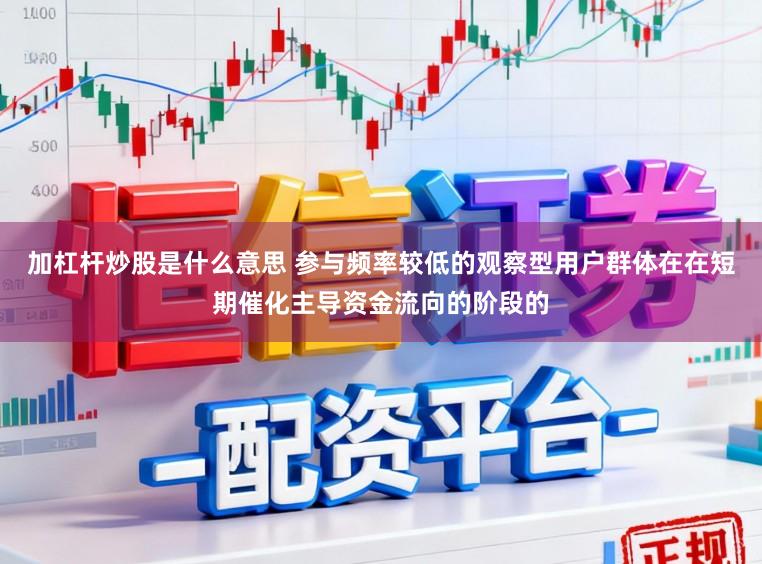 加杠杆炒股是什么意思 参与频率较低的观察型用户群体在在短期催化主导资金流向的阶段的