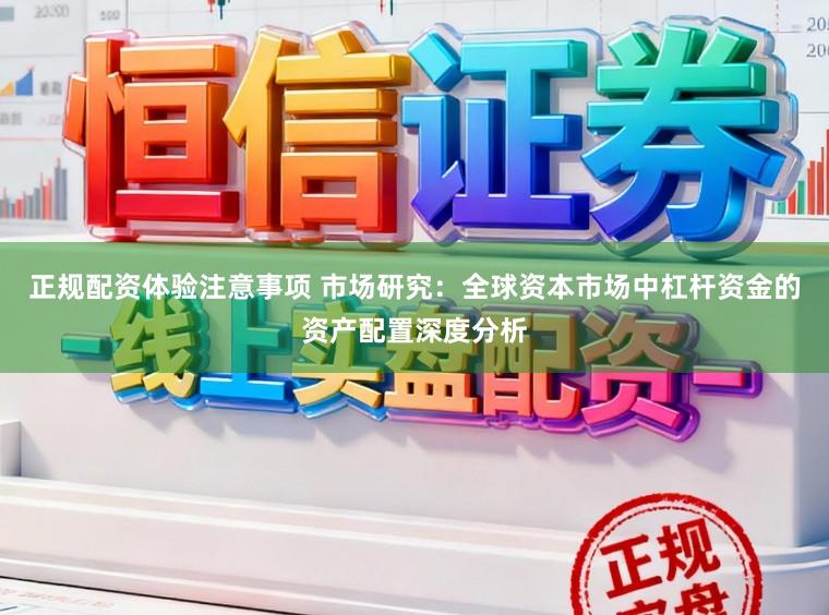 正规配资体验注意事项 市场研究：全球资本市场中杠杆资金的资产配置深度分析